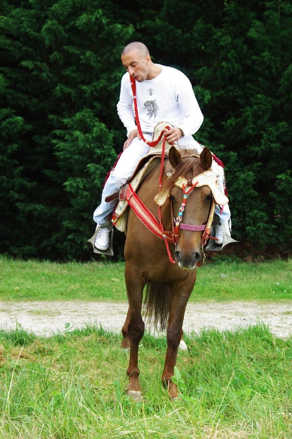 Le Moussem des Cultures 2008 051.jpg